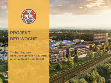 Timber Factory - Projekt der Woche